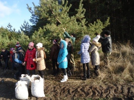 Фонд лесовосстановления